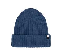 DC Shoes Fish N Destroy 2 - Beanie for Men - Mütze - Männer - One Size - Blau