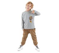 Denokids 2tlg. Outfit "Pocket Tiger" in Grau - Größe 110 | Kinder Longsleeves
