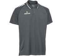 Derbystar Primo Polo-Shirt v24, grau weiss, XXXL