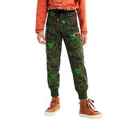 Desigual Pant_Azriel, 4086 Dark KAKI, 5/6