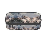 DEXNEL Federmäppchen für Ballettschuhe, tragbar, mit Reißverschluss, hohe Kapazität, stabiles multifunktionales Federmäppchen für Kinder, Schwarz , Einheitsgröße, Taschen-Organizer