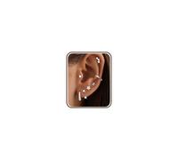 Diamday 7 Paar Ohrringe Gold Silber Set Chirurgenstahl Ohrringe für Damen Piercing Ohr Helix Piercings Creolen Ohrstecker Gold Medizinische Ohrstecker Hypoallergene Conch Tragus Helix Piercing Set