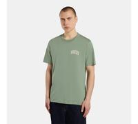 Dickies - Aitkin chest logo leichtes T-shirt, Herren, Grün, Größe: S