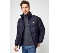 Dickies - Bekleidung Waldenburg - schwarz - Größe S