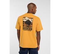 Dickies - Darrtown mittelschweres T-shirt, Herren, Gelb, Größe: M