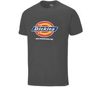 Dickies DT6010 Denison T-Shirt, Grau, 3XL