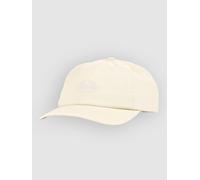 Dickies Duck Canvas Dad Kappe