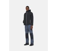 Dickies Herrenhose Everyday Regular Fit Grau/Schwarz W30/L34