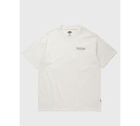 DICKIES FAIRLAWN SS TEE men Shortsleeves beige in Größe:XXL