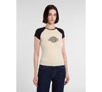 Dickies - Forth Shaw raglan leichtes T-shirt, Damen, Schwarz, Größe: L
