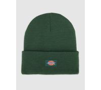 Dickies Kid's Gibsland Beanie Pine Needle Green OS