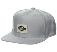 Dickies Herren Mid Pro Mütze mit Flacher Krempe Hut, GRAU, Einheitsgröße
