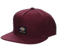 Dickies Herren Skateboarding Mid Pro Cap, Rot/Ausflug, einfarbig (Getaway Solids), Einheitsgröße