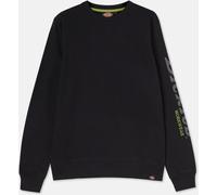 Dickies Herren Sweatshirt Okemo Graphic Sweatshirt (Bci) Black-S