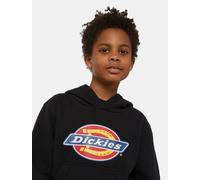 Dickies - Icon logo Kapuzenpulli für kinder, Grau, Größe: M
