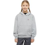 Dickies Kids' Oakport Hoodie Heather Gray L