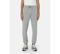 Dickies - Mapleton Jogginghose, Herren, Grau, Größe: 2XL