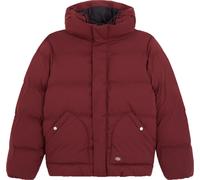 Dickies Men's Eagleville Hooded Puffer Andorra L
