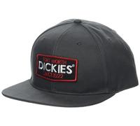 Dickies Men's Logo Patch Flat Bill Slate Gray (SL) Snapback Hat