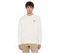 DICKIES MILLERSBURG SWEATSHIRT men Sweatshirts white|beige in Größe:M