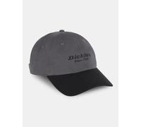Dickies Dickies Men's Twill Dad Hat Graphite Graphite OneSize