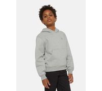 Dickies - Oakport Kapuzenpulli für kinder, Grau, Größe: OS