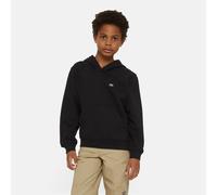 Dickies - Oakport Kapuzenpulli für kinder, Schwarz, Größe: OS
