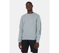 Dickies - Okemo graphic Sweatshirt, Herren, Grau, Größe: 3XL