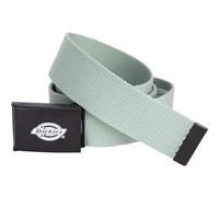 Dickies Orcutt Gürtel (iceberg green, one size)