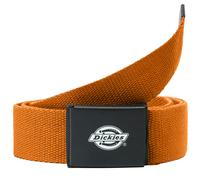 Dickies Orcutt Webbing Belt Golden Ochre