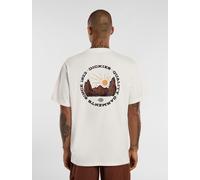 Dickies - Outdoor T-shirt, Herren, Beige, Größe: L