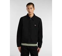 Dickies - Painter canvas Jacke, Herren, Schwarz, Größe: OS