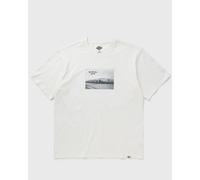 DICKIES SEVIER TEE SS men Shortsleeves beige in Größe:S