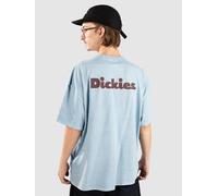 Dickies Slayden Gd T-Shirt glacier lake Herren Gr. XL
