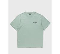 DICKIES SNAKE SS TEE men Shortsleeves green in Größe:M