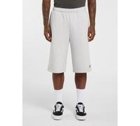 Dickies - Streetsboro 13-Inch Sweatshorts, Herren, Grau, Größe: XS