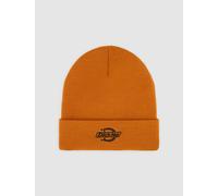 Dickies - Summerdale Mütze, Orange, Größe: OS
