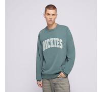 DICKIES SWEATSHIRT AITKIN SWEATSHIRT Grün Herren