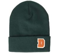 Dickies Unisex Radcliff Strickmütze, Grün (Forest Ft), (Herstellergröße: One Size)