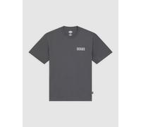 Dickies WOLFHURST TEE T-Shirt charcoal in XXL