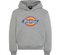 Dickies Youth Logo Hoodie Heather Gray XS