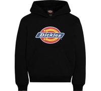 Dickies Youth Logo Hoodie Knit Black S