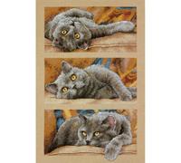 Dimensions Gezählter Kreuzstick Set, Max The Cat, 1.45 x 23.52 x 32.74 cm
