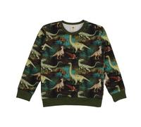 Dinasour Jungle-SweatshirtBio-Baumwolle aus 95% Baumwolle -green- GOTS-Zertifiziert - Walkiddy Green 146