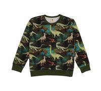 Dinasour Jungle-SweatshirtBio-Baumwolle aus 95% Baumwolle -green- GOTS-Zertifiziert - Walkiddy Green 98