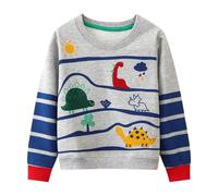 Dinopjs Kinder Jungen Pullover Sweatshirt Süß Langarm Baumwolle Dinosaurier Cartoon Jurassic Planeten Winter & Frühling Weihnachten Warm Oberteile 2-7 Jahre