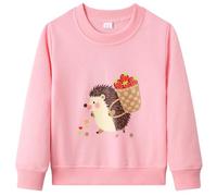 Dinopjs Mädchen Pullover der Kleine Igel Seine süße Erdbeer-Last nach Hause, Mädch Warm Sweatshirt, Cartoon Tiere Kleidung, Girls Top Wear Sportshirt Clothes für Kinder 6 Jahre / 116, Rosa