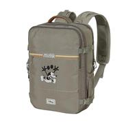Disney Micky Maus Face-Mercury Rucksack Handgepäck Flugzeug 40x20x25cm, Mehrfarbig, Kapazität 20 L