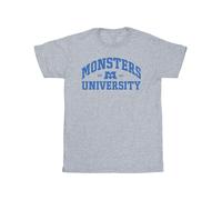 Disney - "Monsters University" T-Shirt für Herren (Grau) L