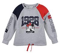 Disney Sun City Lizenz Mädchen Sweatshirt, Strick, Grau, 4 Jahre EU, grau, 4 Jahre
